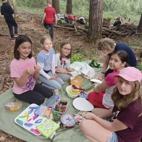 Wald-Picknick