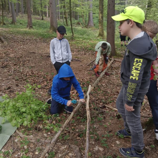Wald-Picknick