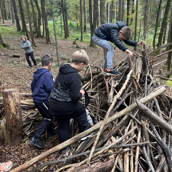 Waldtag 4a & 4b