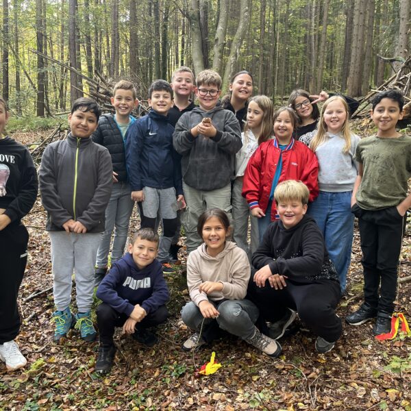Waldtag 4a & 4b