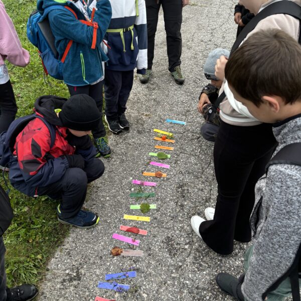 Waldtag 4a & 4b