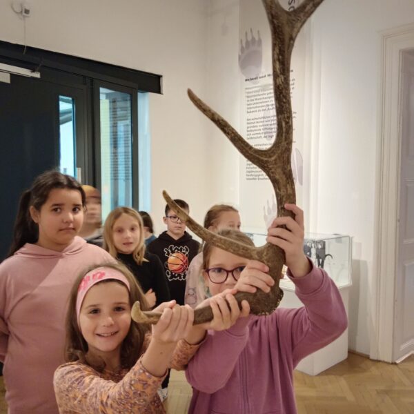 3a im Büchsenmacher- & Jagdmuseum