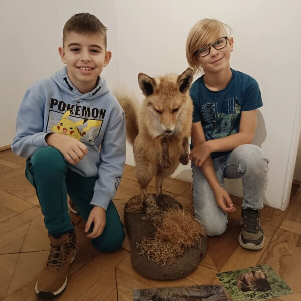 3a im Büchsenmacher- & Jagdmuseum